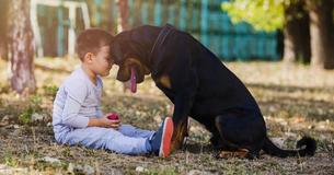 Science Suggests People Who Talk To Their Pets Could Be Smarter Than Those Who Don’t Science Suggests People Who Talk To Their Pets Could Be Smarter Than Those Who Don’t