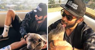 Zac Efron Volunteers To Foster Dog Scheduled To Be Euthanized, Falls In Love And Gives Her A Home Zac Efron Volunteers To Foster Dog Scheduled To Be Euthanized, Falls In Love And Gives Her A Home