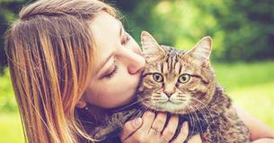 Being a Cat Lady Can Benefit Your Health, According to Science Being a Cat Lady Can Benefit Your Health, According to Science