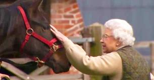 Queen Elizabeth II Saved An Entire Horse Breed From Extinction, And We Can’t Say 'Thank You' Enough Queen Elizabeth II Saved An Entire Horse Breed From Extinction, And We Can’t Say 'Thank You' Enough