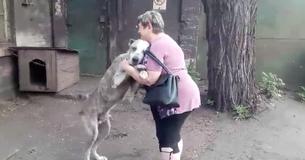 Dog Lost For Years Is Ecstatic To Be In His Best Friend's Arms Once Again Dog Lost For Years Is Ecstatic To Be In His Best Friend's Arms Once Again