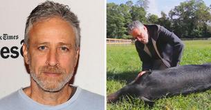 Jon Stewart’s 12-Acre Farm Is A Safe Haven For Hurt And Abused Animals Jon Stewart’s 12-Acre Farm Is A Safe Haven For Hurt And Abused Animals