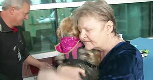 A Canadian Hospital Lets Patients Meet Their Pets To Get Well Sooner, And It’s The Sweetest Thing To See A Canadian Hospital Lets Patients Meet Their Pets To Get Well Sooner, And It’s The Sweetest Thing To See