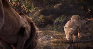 The Lion King: Beyoncé and Donald Glover's The Lion King: Beyoncé and Donald Glover's