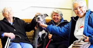 Nuns Walk Into Shelter And Bring Pit Bull No One Else Wanted Home Nuns Walk Into Shelter And Bring Pit Bull No One Else Wanted Home