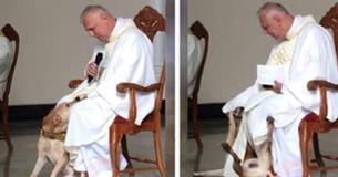 Priest Has Greatest Reaction After Lively Dog Crashes Church Service Priest Has Greatest Reaction After Lively Dog Crashes Church Service