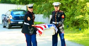 Two Marines Carried The Casket Of Hero K9 To Bring Him Back Home Two Marines Carried The Casket Of Hero K9 To Bring Him Back Home