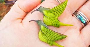 Here's A Plant With Flower Petals That Look Like Hummingbirds Here's A Plant With Flower Petals That Look Like Hummingbirds
