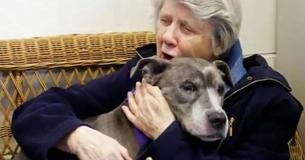 Nuns Adopt 9-Year-Old Pit Bull That No One Else Wanted Nuns Adopt 9-Year-Old Pit Bull That No One Else Wanted