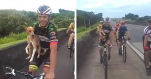 Cyclist Picks Up Abandoned Puppy On Route And Takes Him Along On His Ride Cyclist Picks Up Abandoned Puppy On Route And Takes Him Along On His Ride