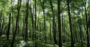 Zwei Stunden Natur pro Woche sind gut für die Gesundheit Zwei Stunden Natur pro Woche sind gut für die Gesundheit