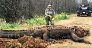 Georgia Farmer Discovers Georgia Farmer Discovers