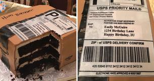Husband Gives Online-Shopping Obsessed Wife A Cake Shaped Like A Delivery Package Husband Gives Online-Shopping Obsessed Wife A Cake Shaped Like A Delivery Package