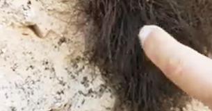 Um homem se estende para tocar um Um homem se estende para tocar um