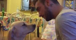 Un homme crie après un chien coupable, mais il a rapidement un fou rire grâce aux excuses de son chiot qui est enregistré à la caméra Un homme crie après un chien coupable, mais il a rapidement un fou rire grâce aux excuses de son chiot qui est enregistré à la caméra