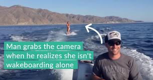 Woman Wakeboards, Then They Notice Dozens Of Dolphins Swimming Next To Her In The Water Woman Wakeboards, Then They Notice Dozens Of Dolphins Swimming Next To Her In The Water