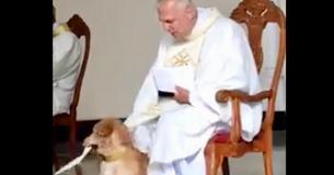 Un chien enjoué s'écrase dans un service religieux et un prêtre brésilien a la meilleure réaction Un chien enjoué s'écrase dans un service religieux et un prêtre brésilien a la meilleure réaction