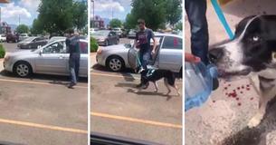 Frantic Dog Begs Stranger To Save Him From Hot Car Before He Waits To Confront The Owner Frantic Dog Begs Stranger To Save Him From Hot Car Before He Waits To Confront The Owner