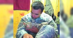 Soldier in Afghanistan Goes To Extraordinary Lengths To Take Stray Kitty Home With Him Soldier in Afghanistan Goes To Extraordinary Lengths To Take Stray Kitty Home With Him