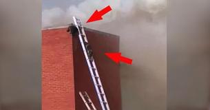 Firefighters Set Up Ladders To Rescue Raccoons From Fire Firefighters Set Up Ladders To Rescue Raccoons From Fire