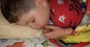 Young Boy Accidentally Kills His Pet Goldfish By Snuggling It Young Boy Accidentally Kills His Pet Goldfish By Snuggling It
