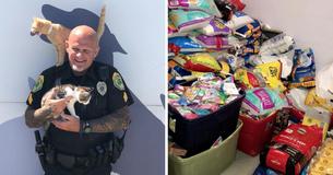 Smart-Thinking Police Department Allows Parking Tickets To Be Paid With Cat Food And Supplies Smart-Thinking Police Department Allows Parking Tickets To Be Paid With Cat Food And Supplies