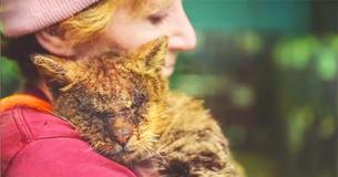Une femme câline un chat que personne ne voulait toucher. Ravi, le chaton l'a alors remercié de la plus belle belle façon qui soit Une femme câline un chat que personne ne voulait toucher. Ravi, le chaton l'a alors remercié de la plus belle belle façon qui soit