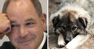 Un juge de l'Ohio ne tolère pas les personnes maltraitant les animaux .Il décide de leur donner une sentence à la hauteur de leurs actes Un juge de l'Ohio ne tolère pas les personnes maltraitant les animaux .Il décide de leur donner une sentence à la hauteur de leurs actes