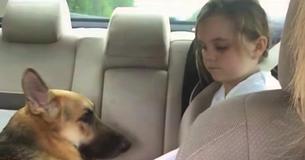 Un père est surpris quand un chien se jette sur sa fille et découvre plus tard qu'il s'était sacrifié pour elle Un père est surpris quand un chien se jette sur sa fille et découvre plus tard qu'il s'était sacrifié pour elle
