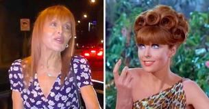 Ginger From Ginger From