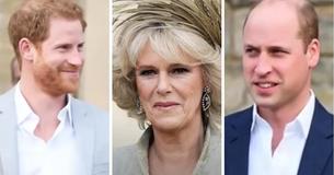 The Thing Prince William And Prince Harry Like About Their Stepmother Camilla Parker Bowles The Thing Prince William And Prince Harry Like About Their Stepmother Camilla Parker Bowles