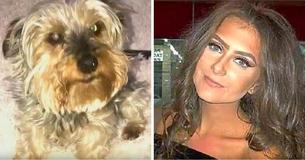 Una donna viene licenziata per non essersi presentata al lavoro dopo che è morto il suo cane Una donna viene licenziata per non essersi presentata al lavoro dopo che è morto il suo cane
