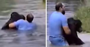 Guy Dives Into Zoo Enclosure Because Staff Refuse To Save A Helpless, Drowning Ape Guy Dives Into Zoo Enclosure Because Staff Refuse To Save A Helpless, Drowning Ape