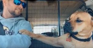 Rescue Dog Refuses To Let Go Of His New Owner’s Arm As They Ride In The Car Together Rescue Dog Refuses To Let Go Of His New Owner’s Arm As They Ride In The Car Together