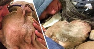 Mulher passa a noite inteira em um abrigo abraçada em um cachorro sofrendo para que ele não morra sozinho Mulher passa a noite inteira em um abrigo abraçada em um cachorro sofrendo para que ele não morra sozinho