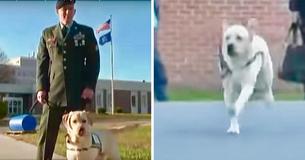 Homem visita prisão com seu cão guia e o cão corre em direção à detenta Homem visita prisão com seu cão guia e o cão corre em direção à detenta