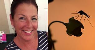 A Mother From Massachusetts Has Passed Away From A Mosquito Bite A Mother From Massachusetts Has Passed Away From A Mosquito Bite