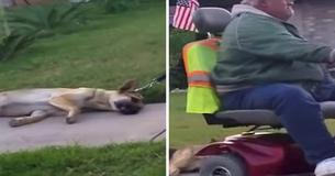 Man Got Recorded Dragging His Dog With His Scooter, Is Now Facing Justice Man Got Recorded Dragging His Dog With His Scooter, Is Now Facing Justice