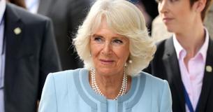 Quelle star. La duchesse Camilla éblouit la foule dans une robe manteau bleu clair avec un collier de perles gigantesque durant sa tournée royale en Irlande Quelle star. La duchesse Camilla éblouit la foule dans une robe manteau bleu clair avec un collier de perles gigantesque durant sa tournée royale en Irlande