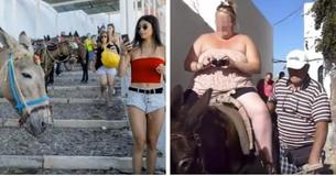 La Grèce interdit les randonnées à dos d'âne aux touristes en surpoids La Grèce interdit les randonnées à dos d'âne aux touristes en surpoids
