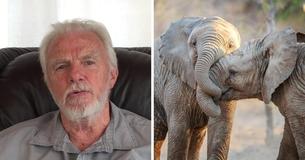 Un chasseur africain se vante d'avoir tué plus de 5 000 éléphants Un chasseur africain se vante d'avoir tué plus de 5 000 éléphants