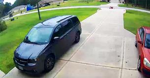 Courageous Teen Rescues 6-Year-Old Boy Attacked By Dog Courageous Teen Rescues 6-Year-Old Boy Attacked By Dog