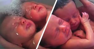 Unos adorables gemelos recién nacidos no se dan cuenta de su nacimiento: un tierno momento para ver Unos adorables gemelos recién nacidos no se dan cuenta de su nacimiento: un tierno momento para ver