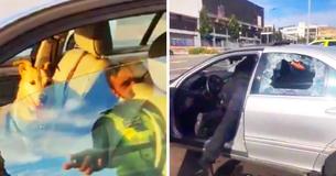 Police Officers Had To Smash Window To Save Dog In Hot Car, Now Owners Are Mad At Cops Police Officers Had To Smash Window To Save Dog In Hot Car, Now Owners Are Mad At Cops