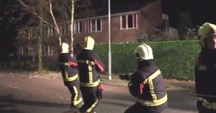 Firefighters Pulling Down A Tree Can't Help But Laugh When Dog Stops To Help Firefighters Pulling Down A Tree Can't Help But Laugh When Dog Stops To Help