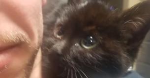 Cop Rescues Kitten In The Snow And She Insists He Take Her Home Cop Rescues Kitten In The Snow And She Insists He Take Her Home