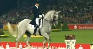 Alors qu'il trottait, ce cheval offre une performance de danse incroyable alors que la musique change Alors qu'il trottait, ce cheval offre une performance de danse incroyable alors que la musique change