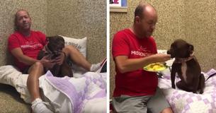 Homem decide se mudar para o canil de uma cachorrinha solitária e se recusa a ir embora até que ela seja adotada Homem decide se mudar para o canil de uma cachorrinha solitária e se recusa a ir embora até que ela seja adotada