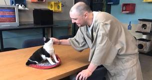 Prison Takes In Shelter Cats To Rescue Them, But The Cats End Up Rescuing The Inmates Too Prison Takes In Shelter Cats To Rescue Them, But The Cats End Up Rescuing The Inmates Too
