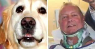Golden Retriever Saves Owner’s Life By Laying Beside Him For Almost 20 Hours In Freezing Temperatures Golden Retriever Saves Owner’s Life By Laying Beside Him For Almost 20 Hours In Freezing Temperatures